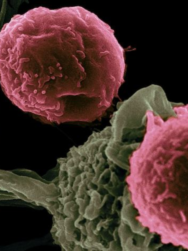 Endometrial Cancer Signals Ignored