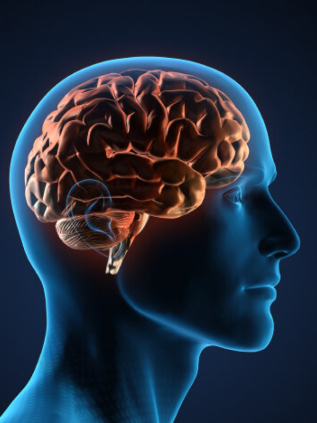 Decoding the Brain's Blueprint in Children