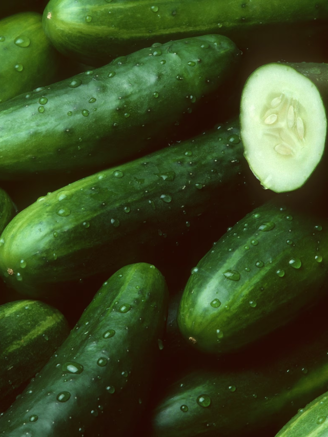 Hundreds sickened in Salmonella outbreak