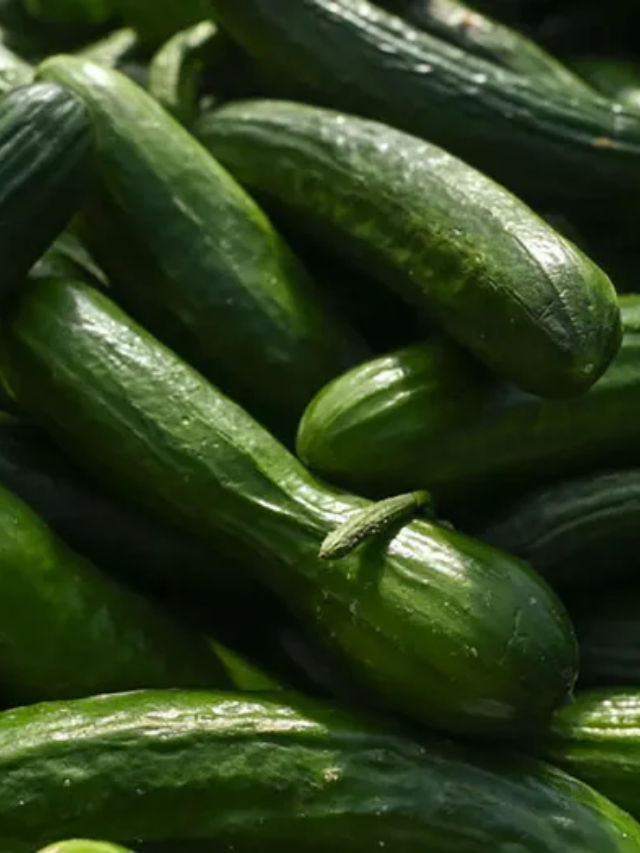 Hundreds sickened in Salmonella outbreak