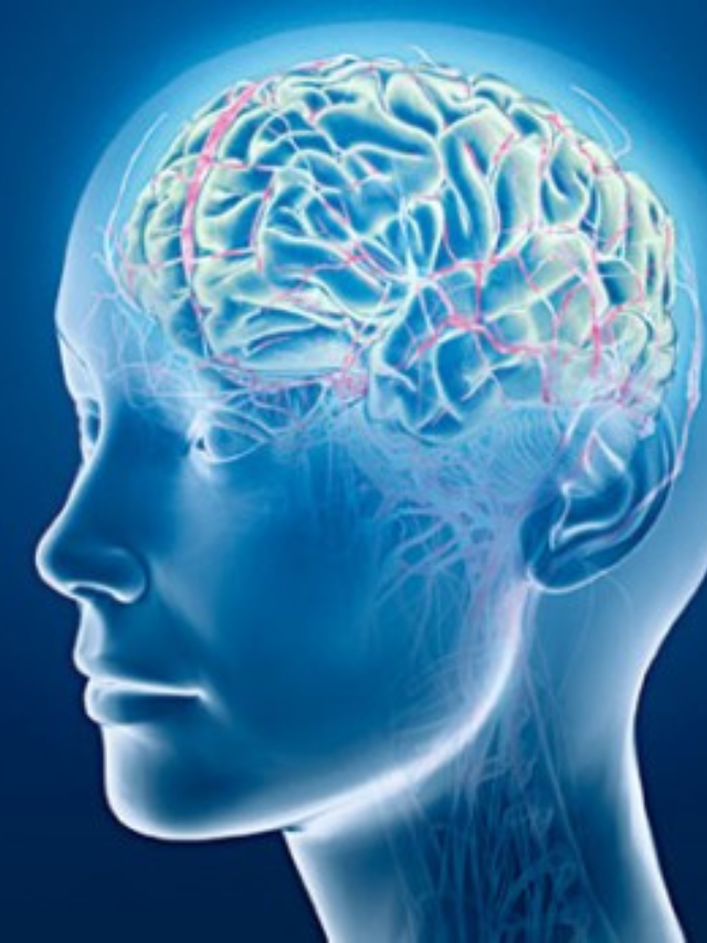 Decoding the Brain's Blueprint in Children