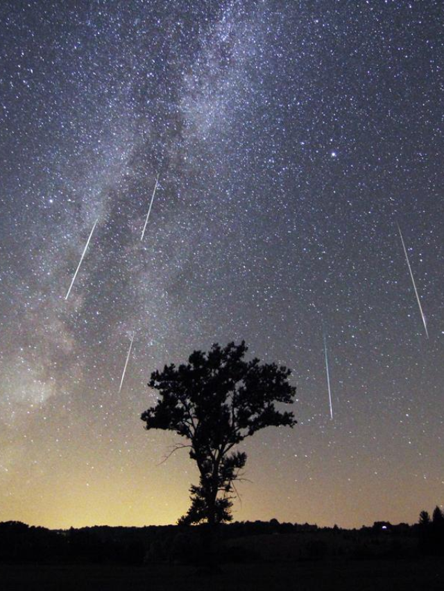  How to Watch the Perseid Meteor Shower?