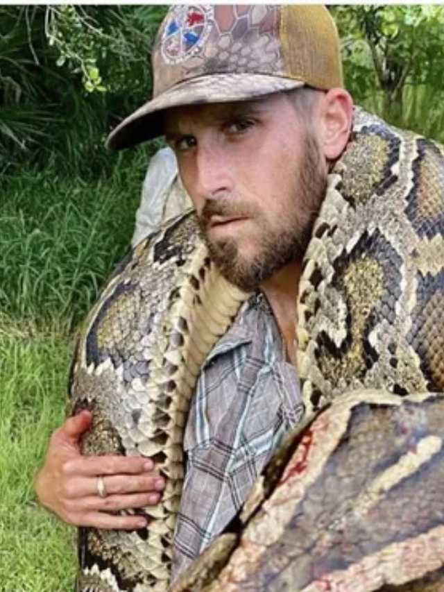 Python Hunters Flock to Florida: Epic Event Unfolds