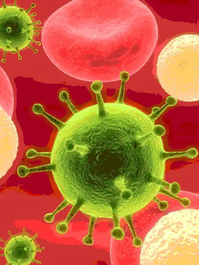 Parvovirus can lead to fetal anemia, a condition where the fetus doesn't have enough red blood cells.
