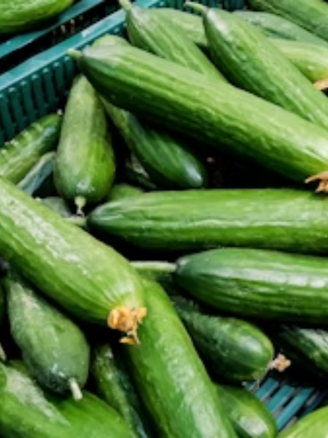 Hundreds sickened in Salmonella outbreak