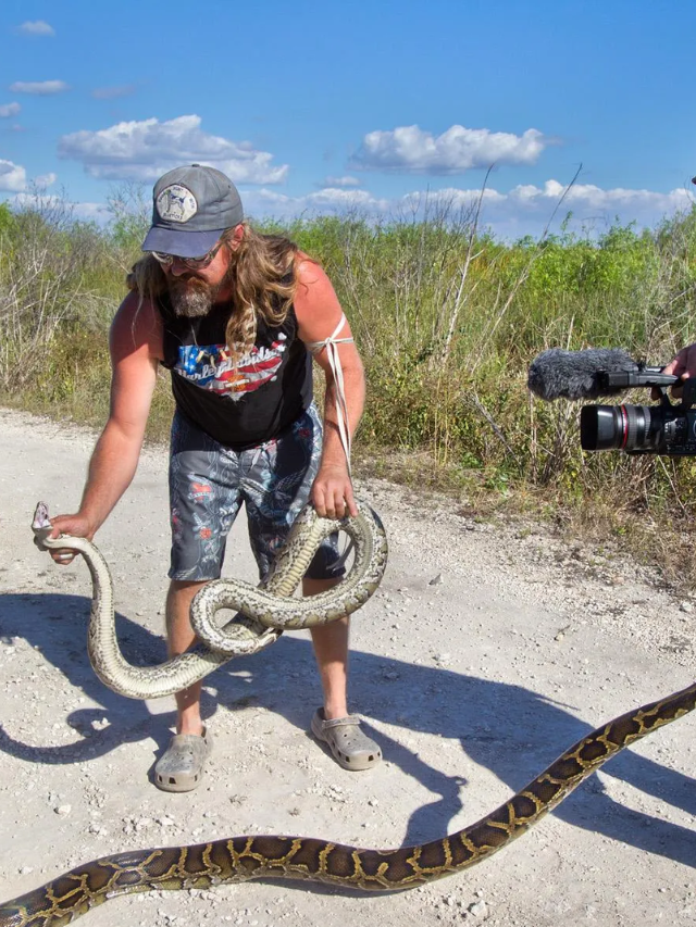 Python Hunters Flock to Florida: Epic Event Unfolds