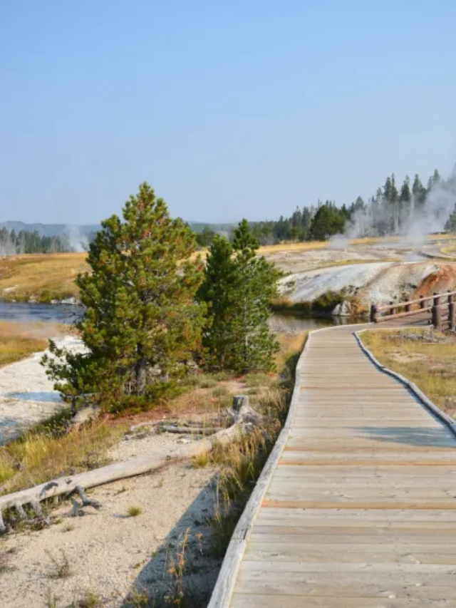  Tourist Ignored Yellowstone Safety, Gets Scolded by Ranger