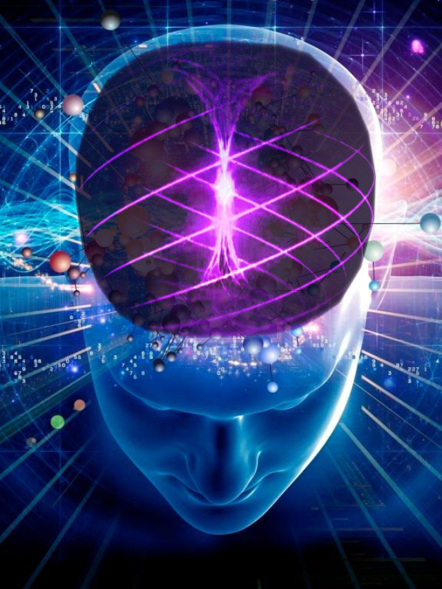 Decoding the Brain's Blueprint in Children