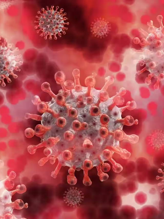 Continue practicing preventive measures like mask-wearing, hand hygiene, and social distancing.
