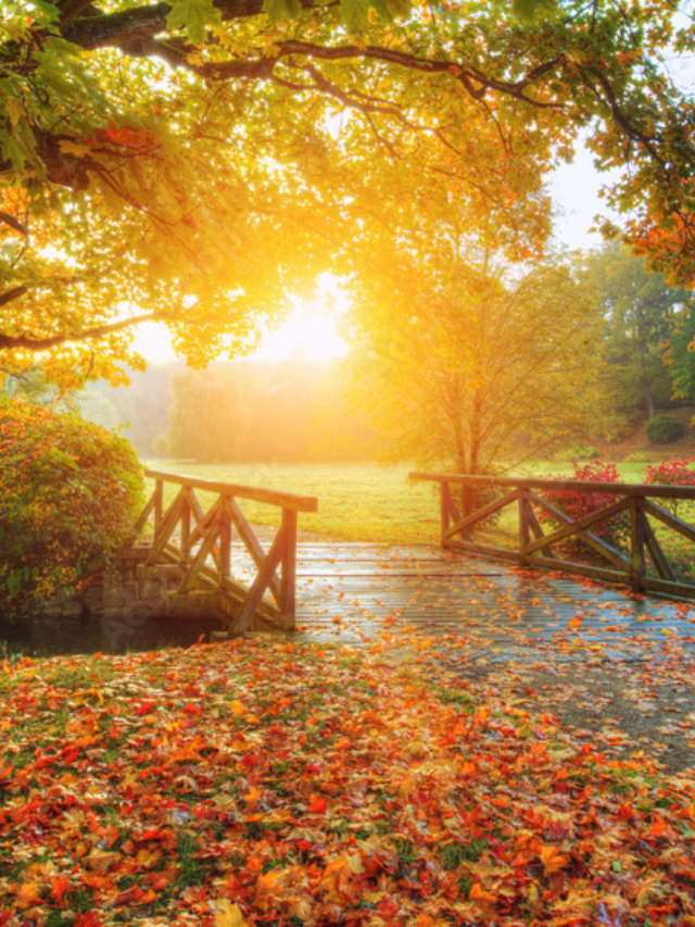 Fall Equinox 2024 Is Coming Up Fast: Get Prepared Now!